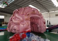 Dostosowany rozmiar nadmuchiwany namiot symulacji modelu mózgu do pokazu medycznego