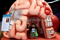 Nadmuchiwany namiot modelowy mózgu Nadmuchiwane konferencje medyczne Wystawy - Mega Brain