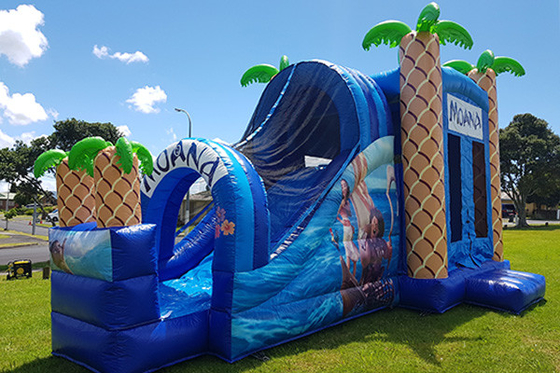 Nadmuchiwany dmuchany zamek Outdoor Adult Kids Jump Bounce House ze zjeżdżalnią do wynajęcia