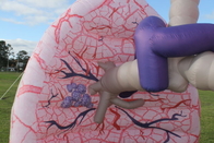 Gigantyczna reklama nadmuchiwanego modelu płuc na imprezy wystawiennicze