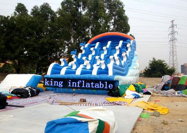 Fantasy Splendid Ocean Water Park / Outdoor Dmuchane zjeżdżalnie wodne z nadrukiem Cartoon