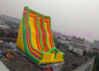 Gigantyczne podwójne lane nadmuchiwane suchej zjeżdżalni kolorowe kreskówka druk dla parku rozrywki