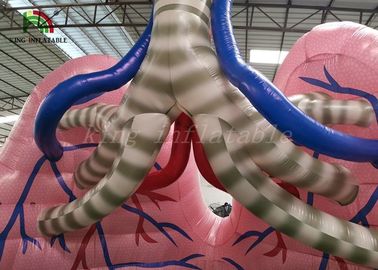 Flesh - Kolorowy Blow Up Simulation Modelowy pokaz na organach Namiot do badań medycznych