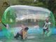 PVC / TPU Transparent Inflatable Water Toy / Inflatable Water Roller for rental use